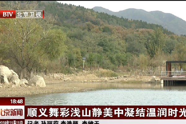 广东湛江雷州红树林保护与修复项目正式启动
