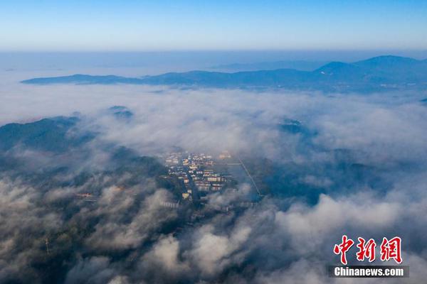 广东湛江雷州红树林保护与修复项目正式启动