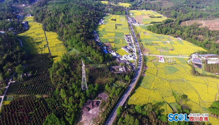 广东推进森林质量精准提升 绿美生态成色更足